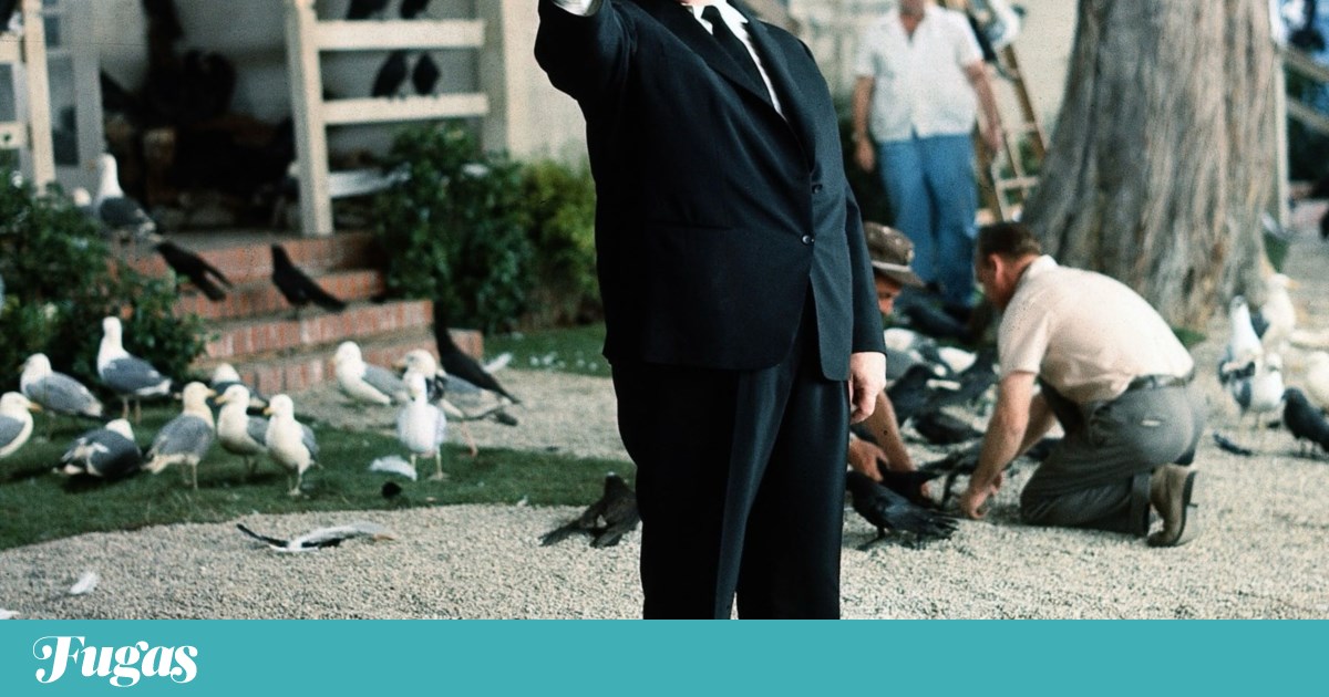 What to do? Monday is a day to celebrate the Three Kings and cult cinema