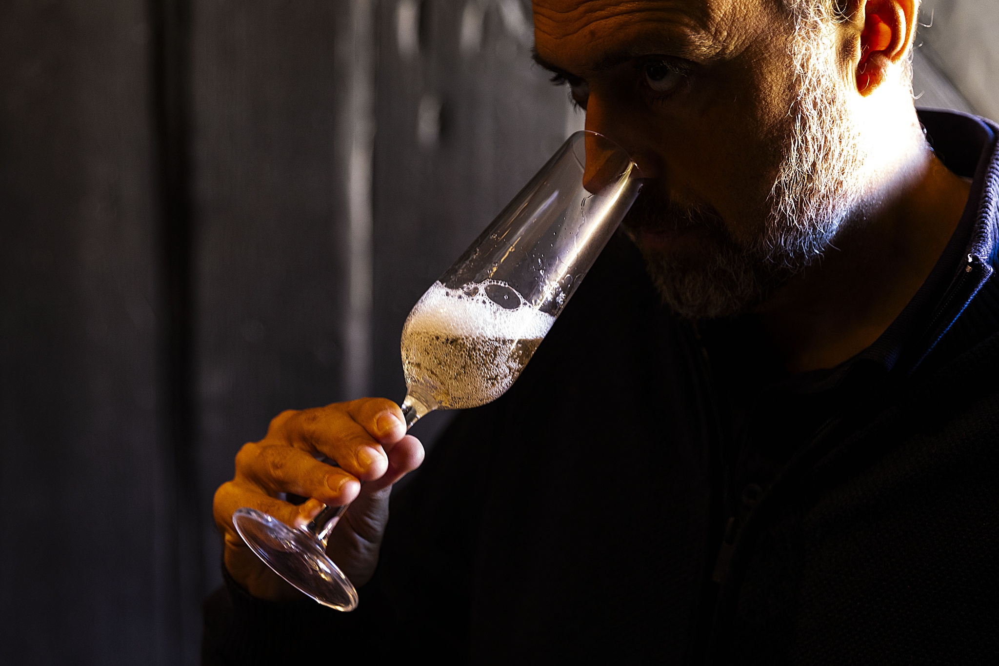 terroir,bairrada,critica,espumantes,vinhos,fugas,