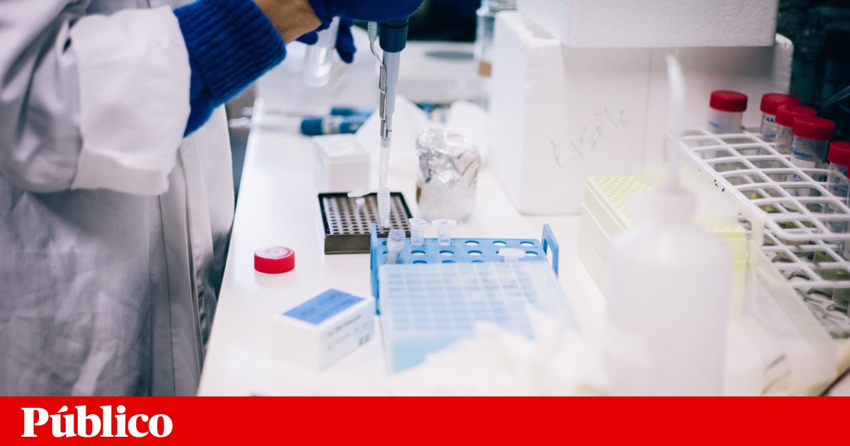 New doctoral students complain about delays in contracting research grants