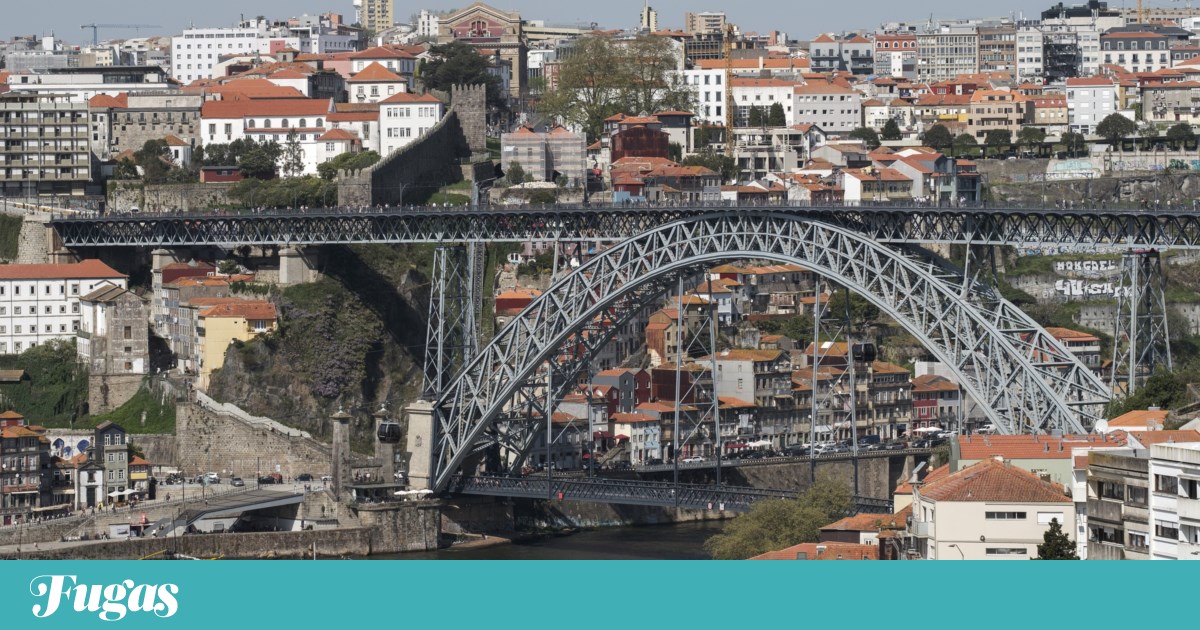 24 hours with tourists in Porto: a boat trip on the Douro and a walk in Serralves