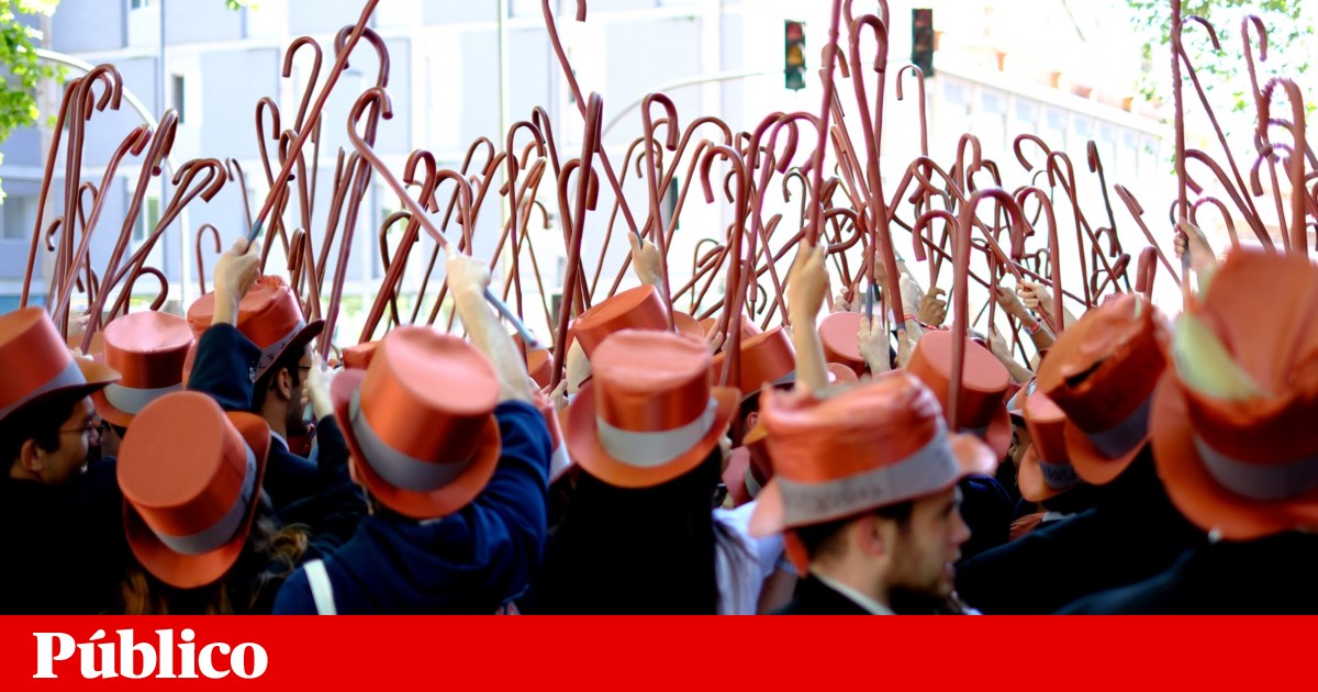 Education Inspectorate investigates institutions that 'sell' unauthorised higher education courses