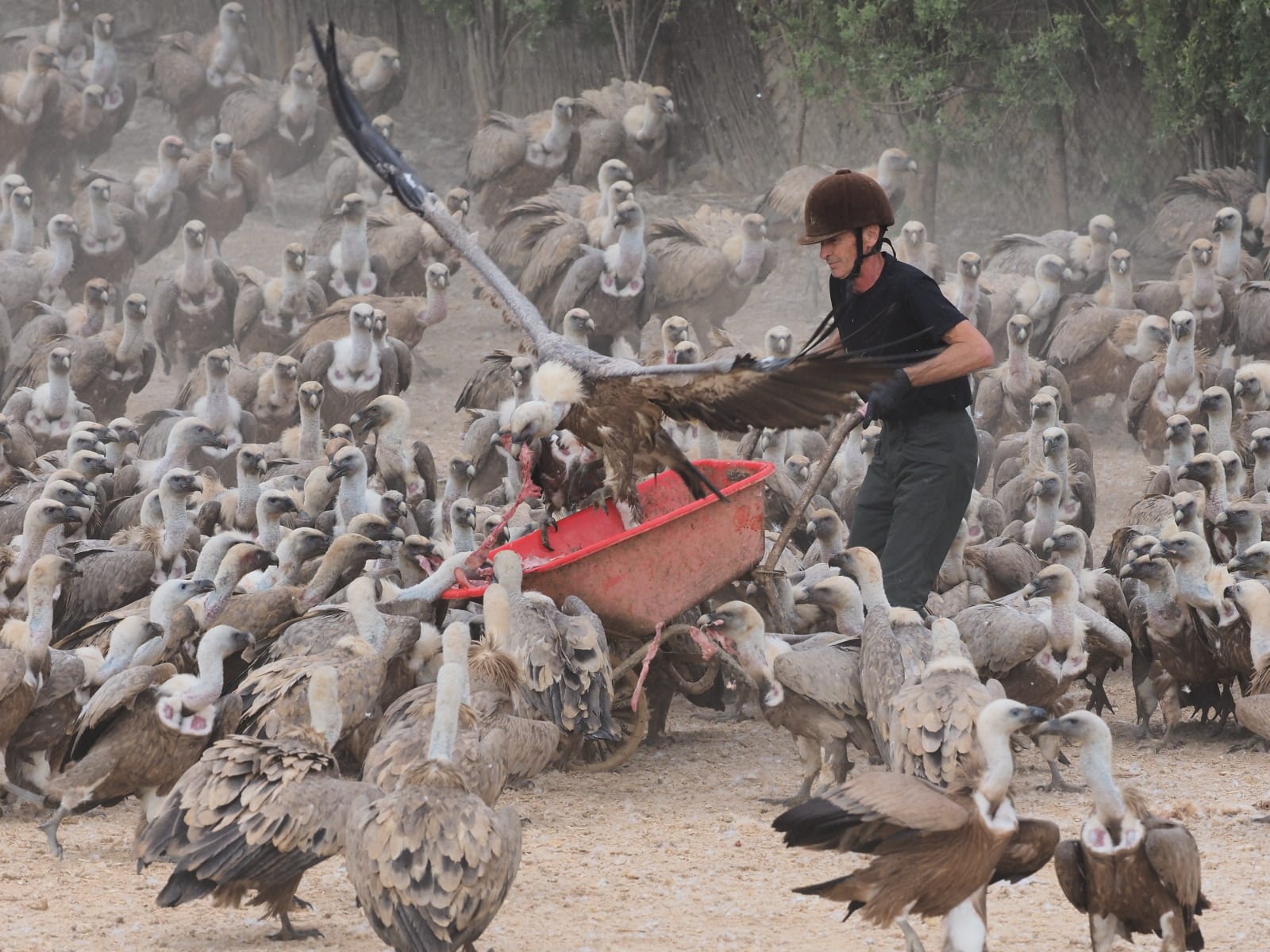 vinhos,viagens,fugas,turismo,espanha,