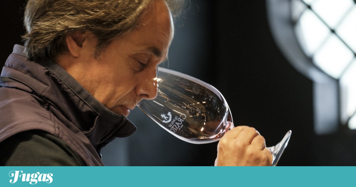 Maria Teresa 2020 — a Douro red on its way to perfection