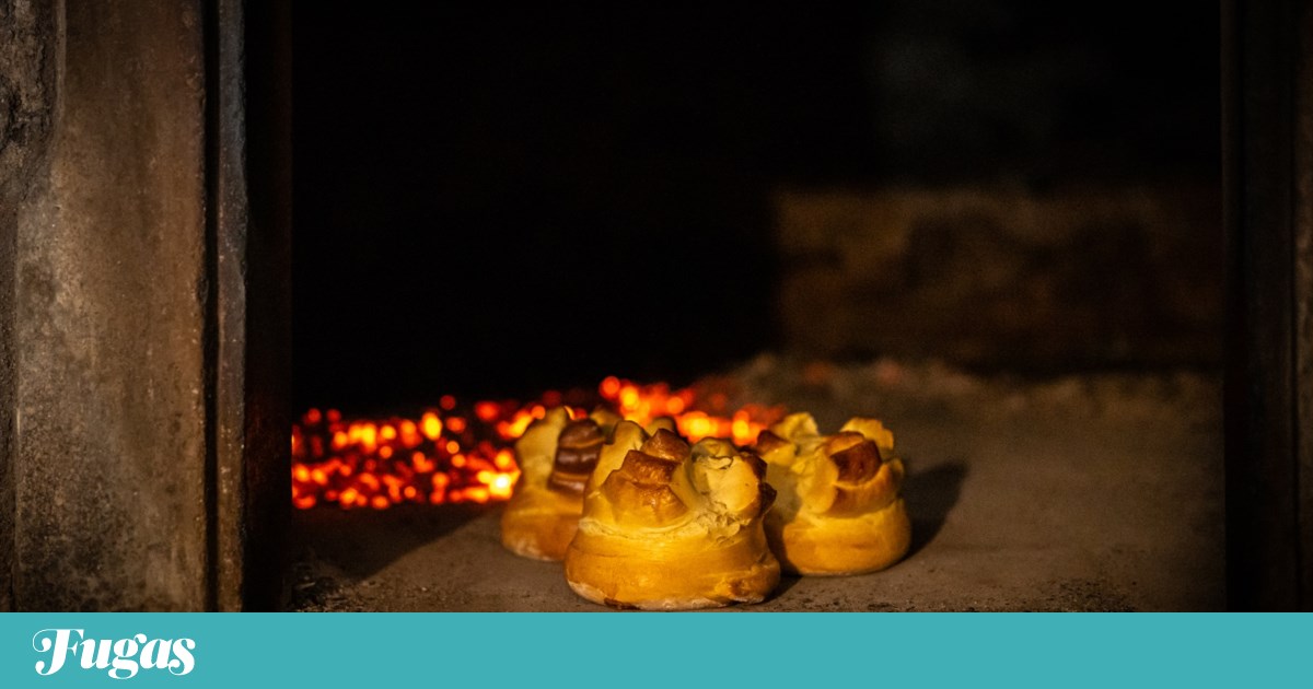 What to do? Friday is a day for Lacrima, fogaça and Bazuuca