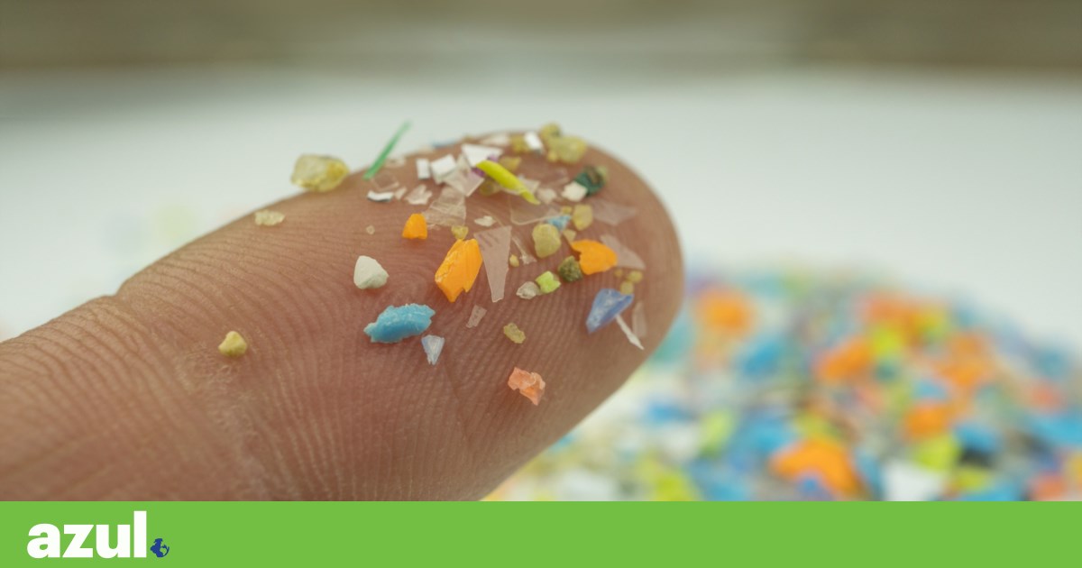 What we learned about microplastics in 2025