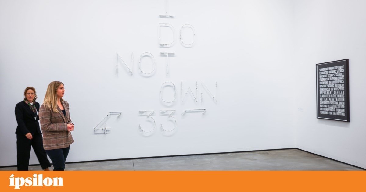 Ellipse and BPP — two collections with different agreements: from "loan for use" to "partnership"