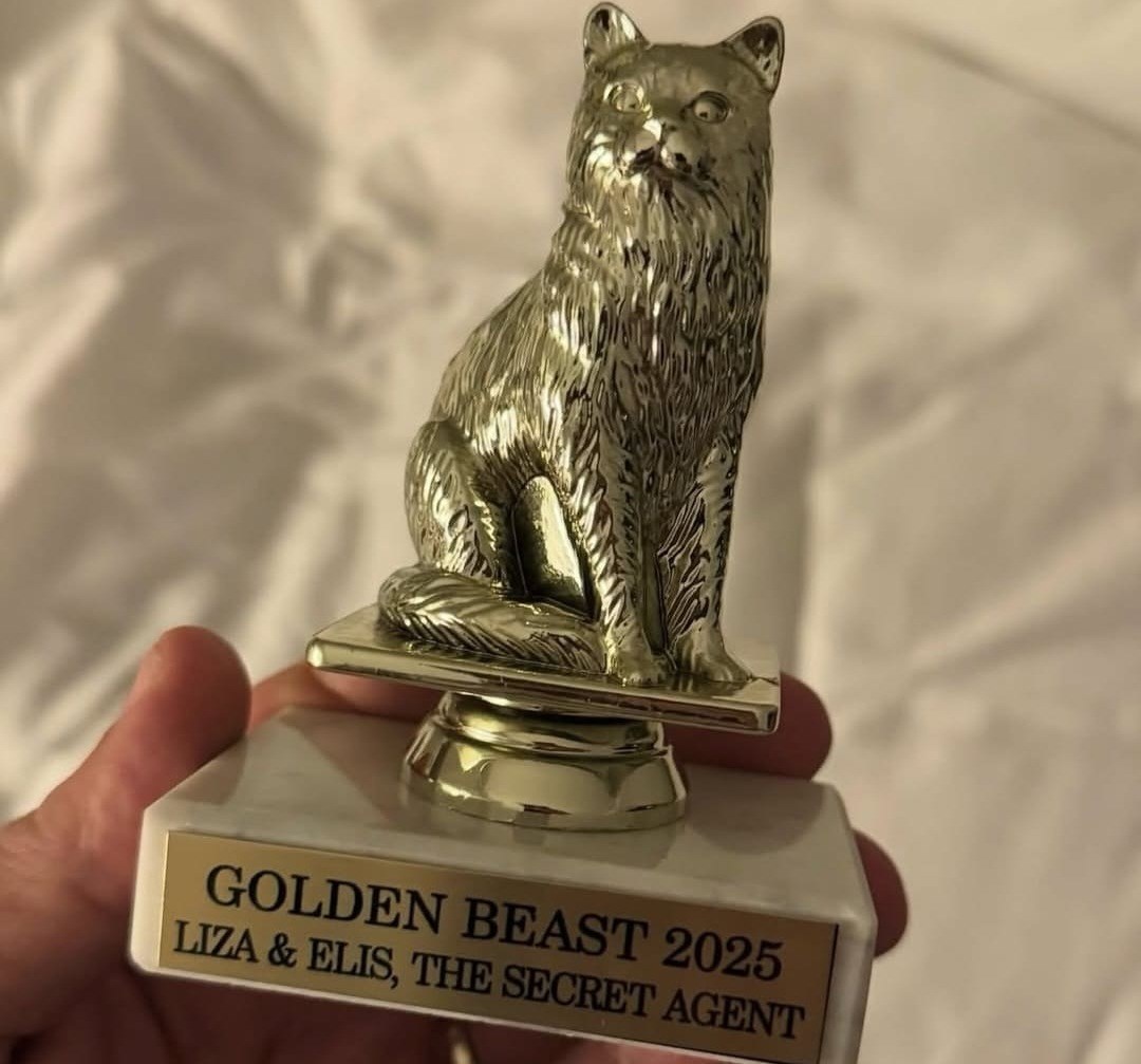 Kitten from the film The Secret Agent wins international award