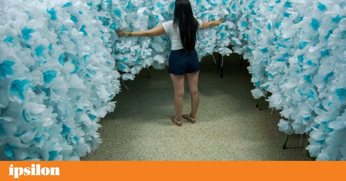 Campo Maior Flower Festival awarded UNESCO 'seal' from 8 to 16 August