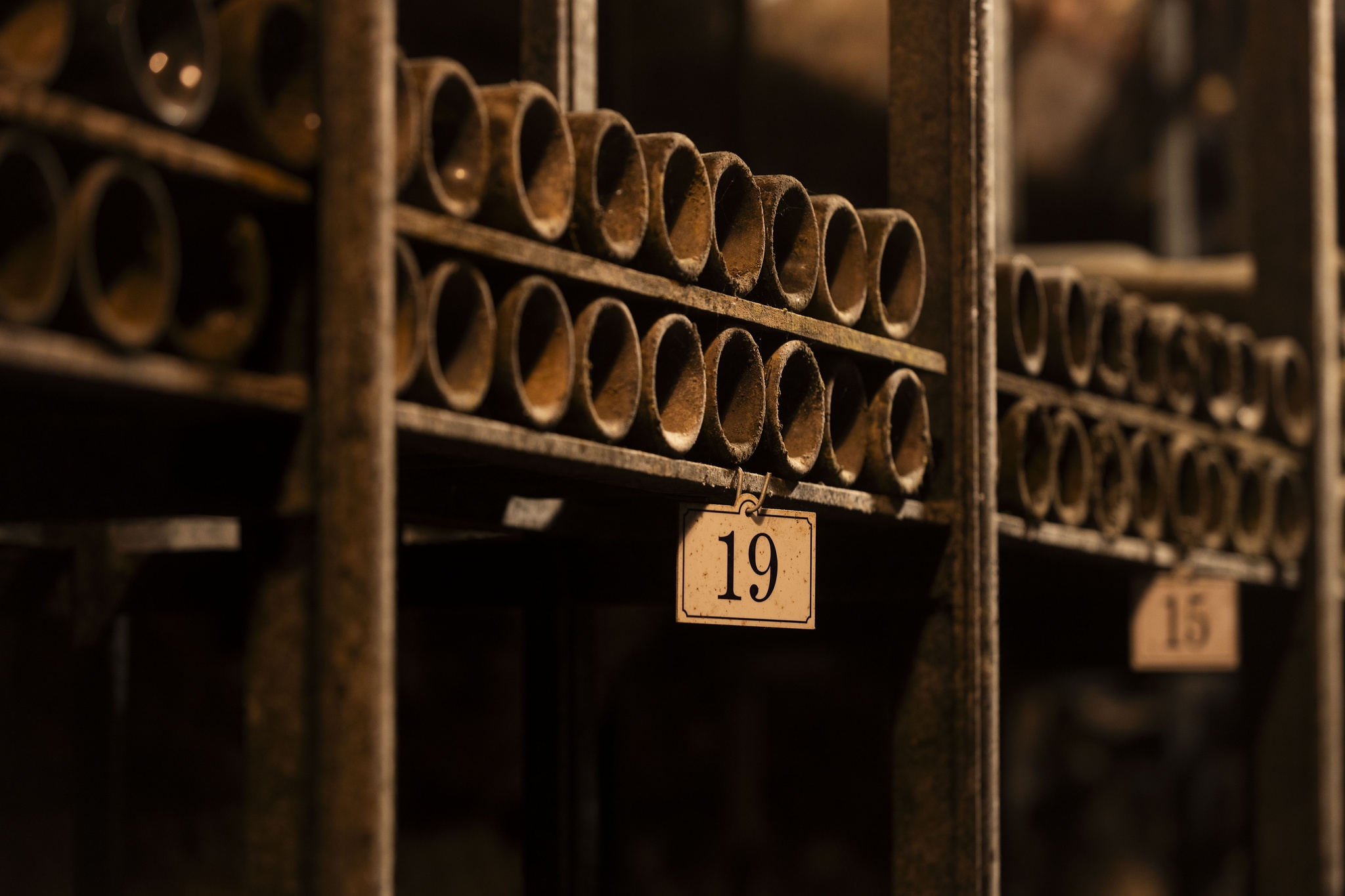 neg nelson garrido - 25 Outubro 2023 - ESPANHA, La Rioja - Adega Marques de Riscal (Bodega), a mais antiga e tradicional adega de La Rioja - adegas