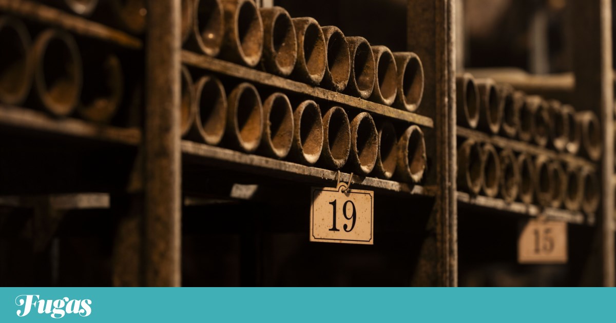 The Oeno Fraud and the Innocents of Wine