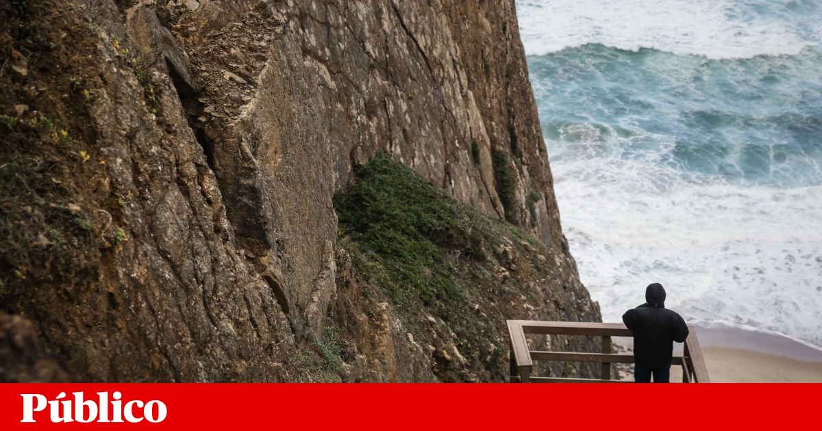 Sintra City Council buys more land in Colares to create an ecological park