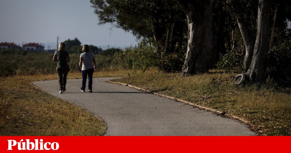 New studies show how small lifestyle changes can improve mortality rates