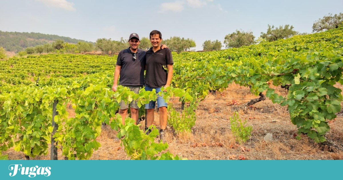 Two childhood friends, an 'exceptional' vineyard in the Douro and the French example