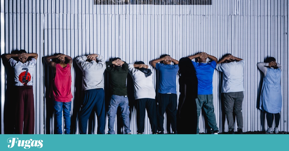 What to do? Friday is for getting into controversies and training dragons