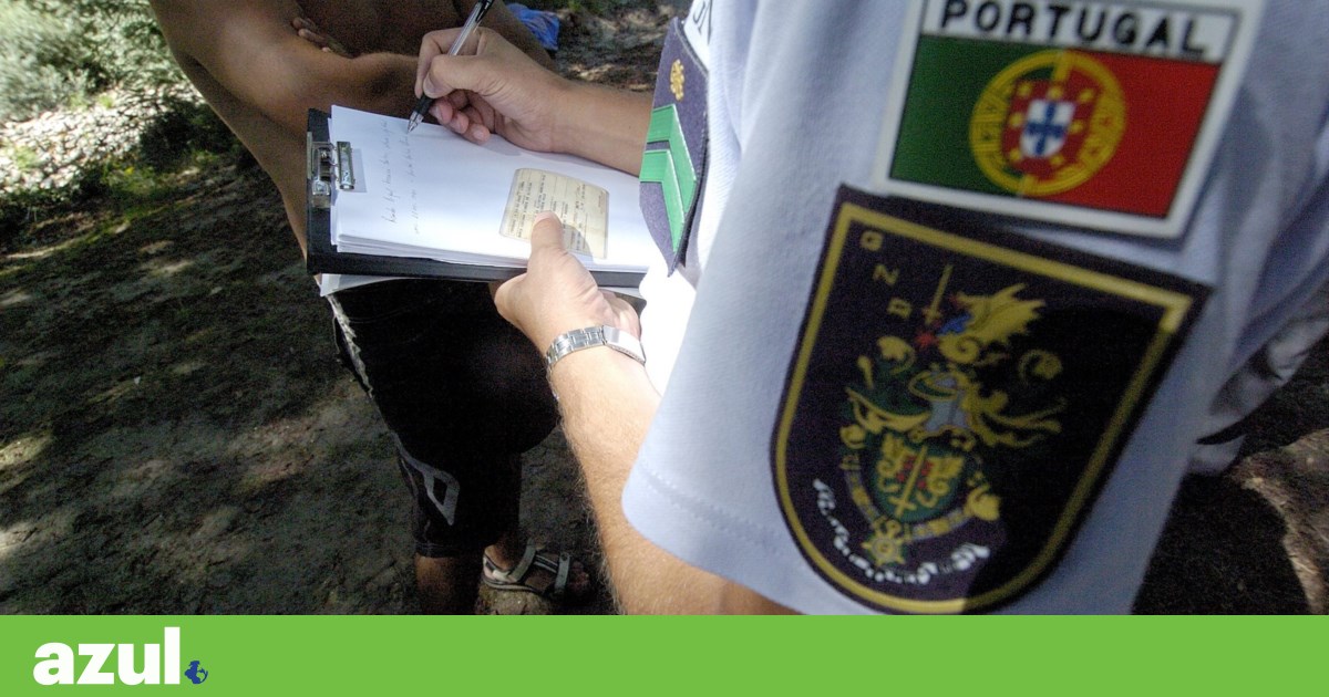 GNR SOS Environment hotline sets record, surpasses 15,000 complaints in 2025