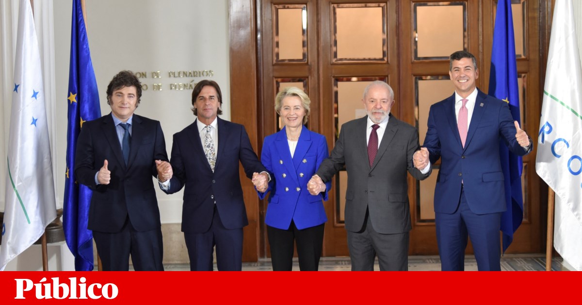 EU–Mercosur: gains for wine and olive oil and risk of small farms going bankrupt