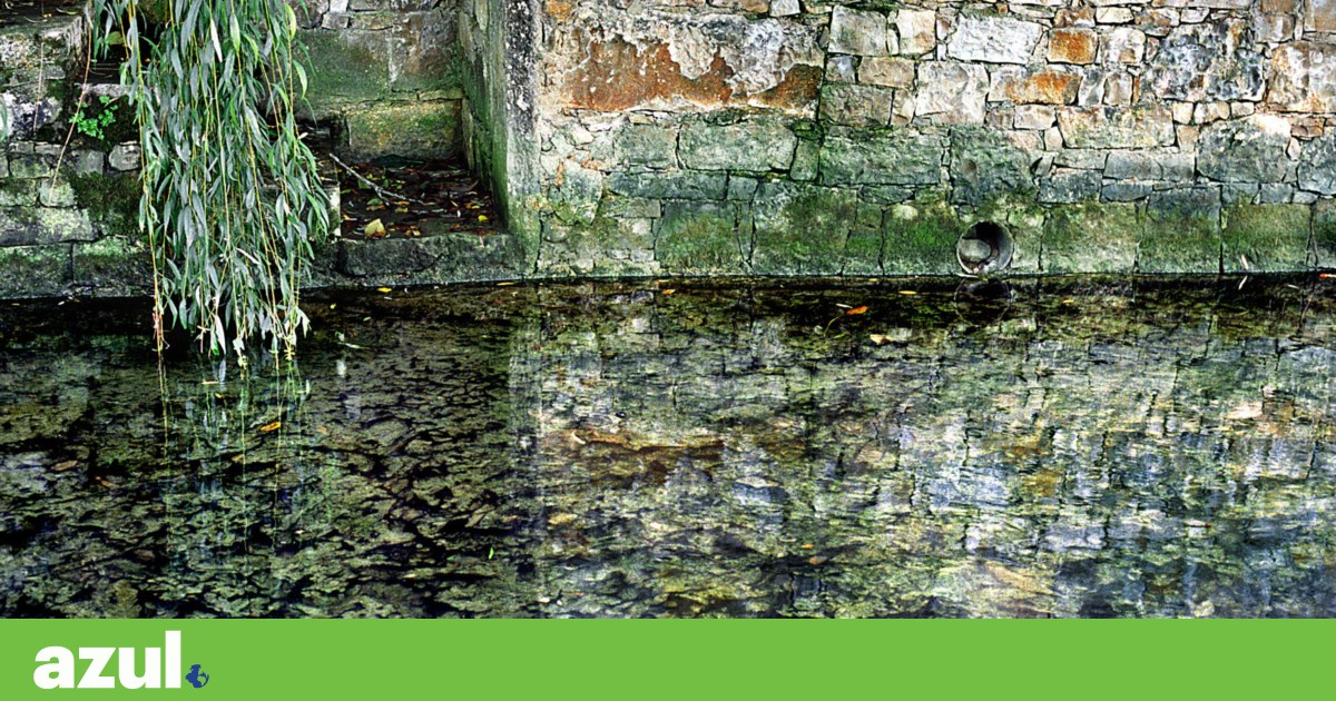 Sewage treatment works by the River Lis receive €2 million to improve treatment — but the problem is upstream