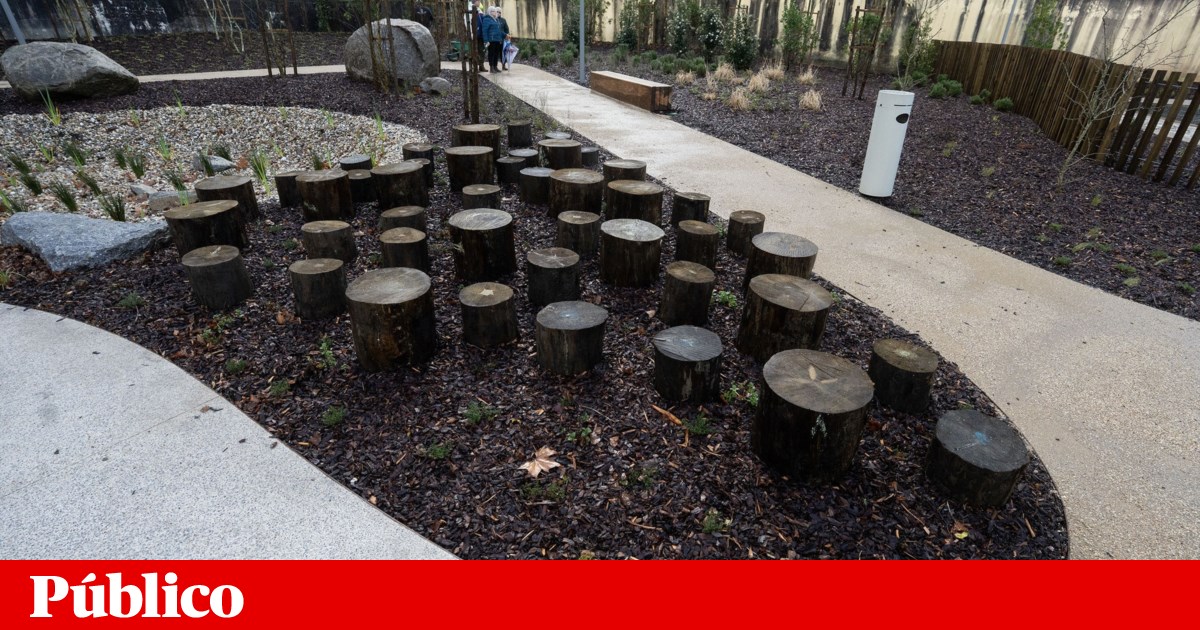 Porto City Council again postpones refurbishment of the Jardim da Corujeira indefinitely