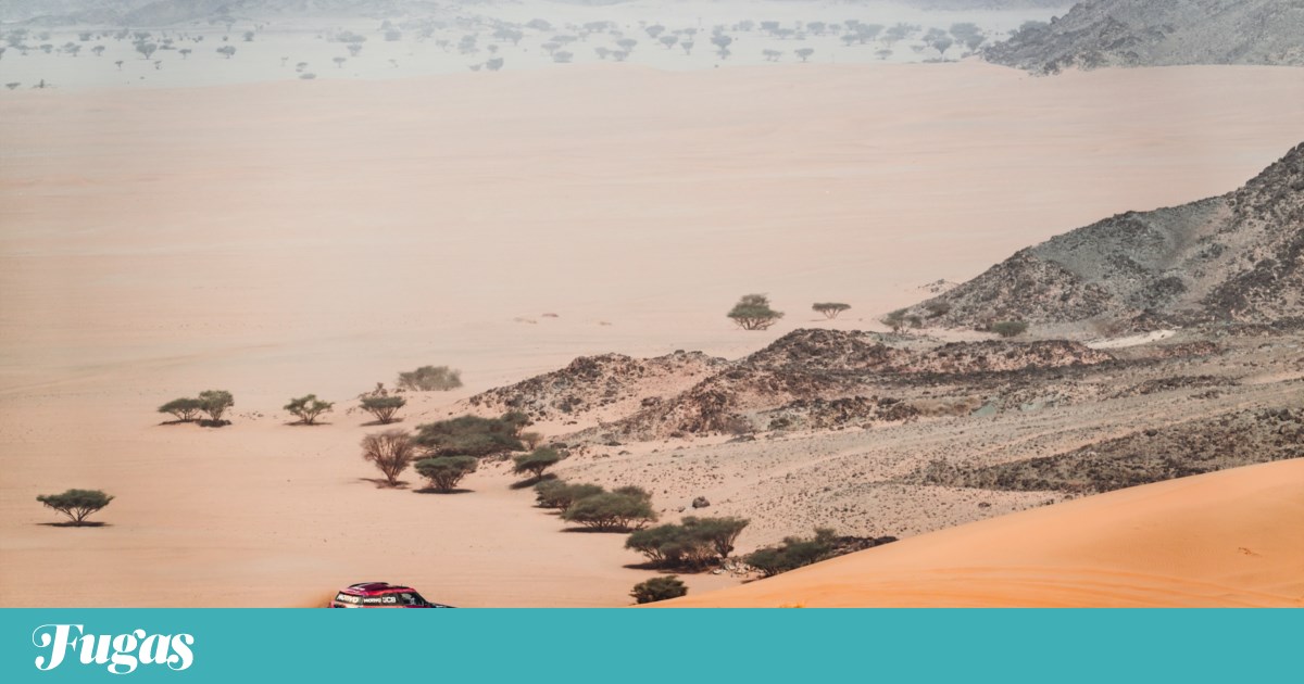 Maria Luís Gameiro at the Dakar Rally: "Only 100 km left — or still 100 km?"