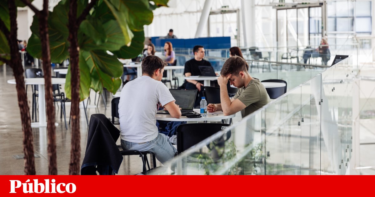 'Students turned into digital cretins.' Manifesto calls for a ban on AI in universities