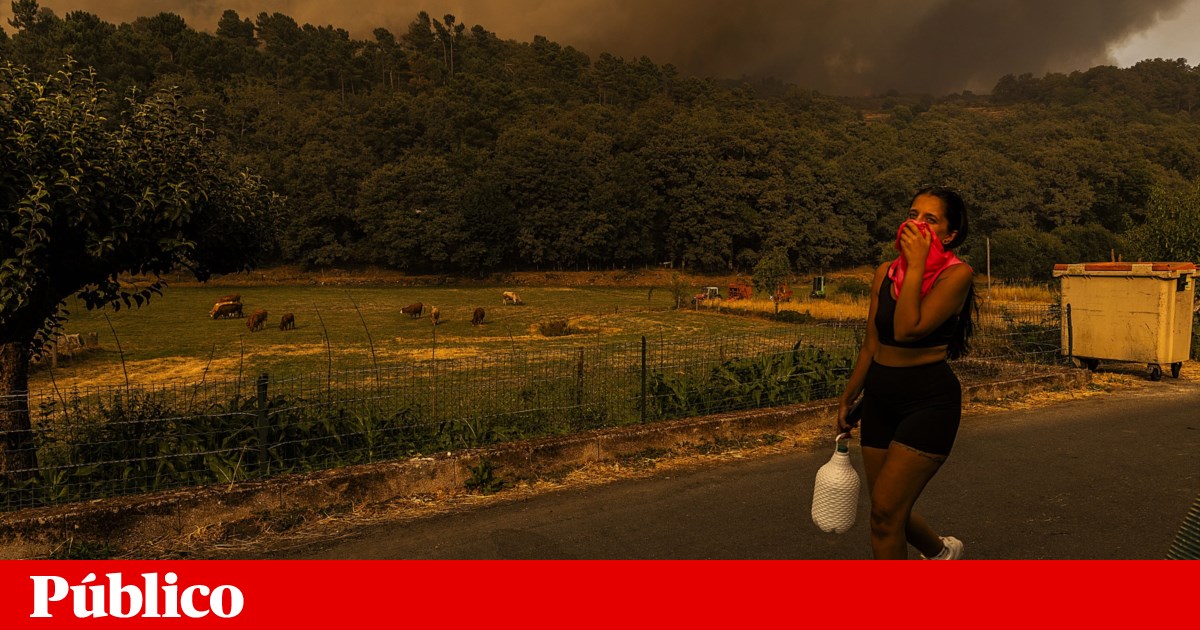 Independent technical committee will have 90 days to analyse what went wrong in the August fires