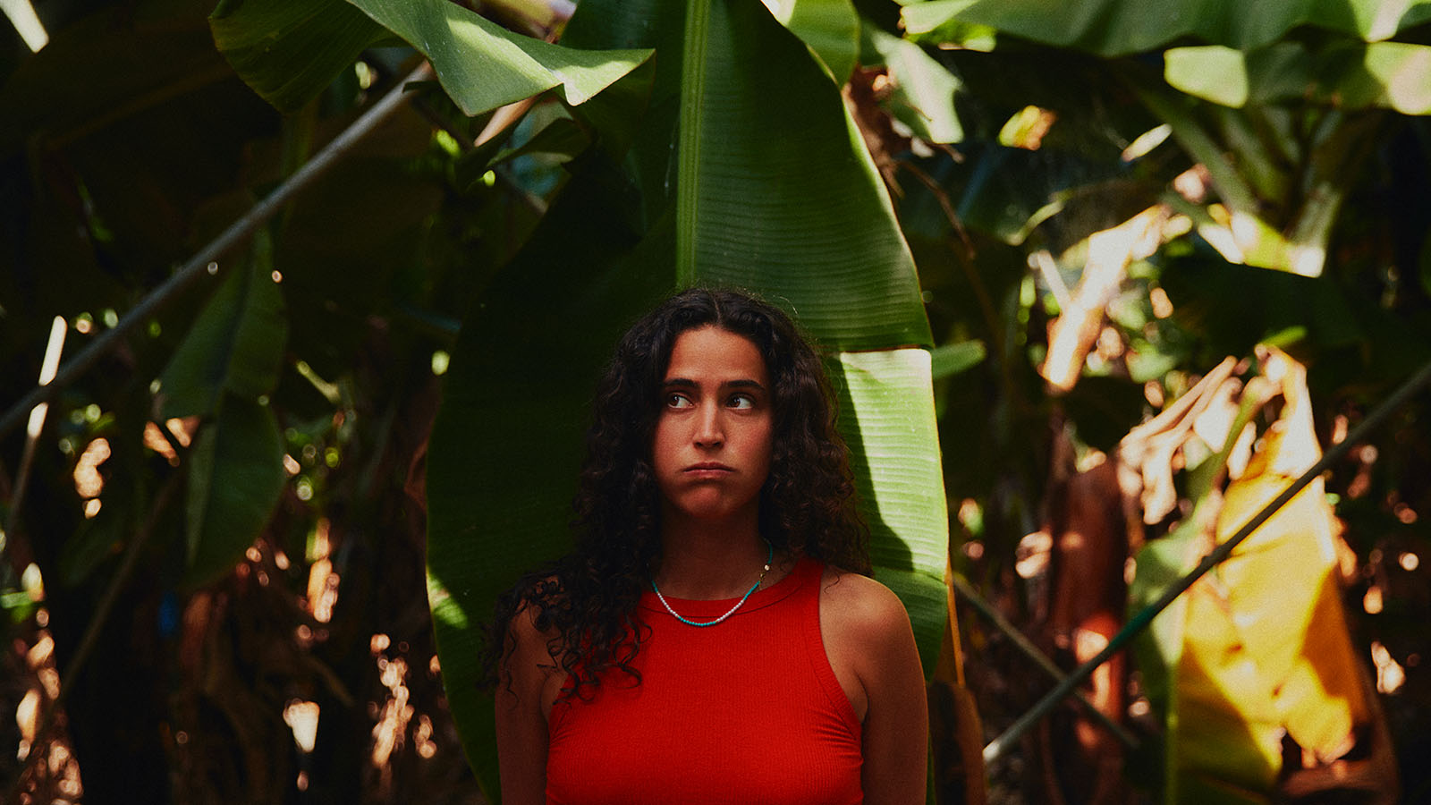 ipsilon,festival-cancao,eurovisao,lazer,culturaipsilon,musica,