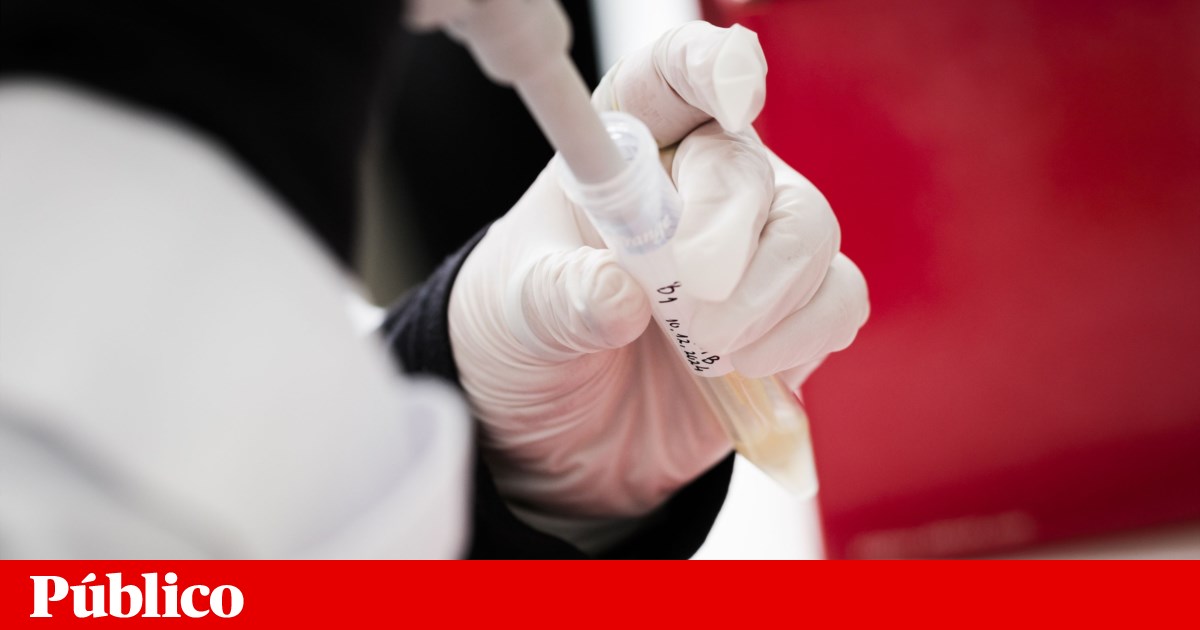 Court orders university to open competition to incorporate scientist into its academic career