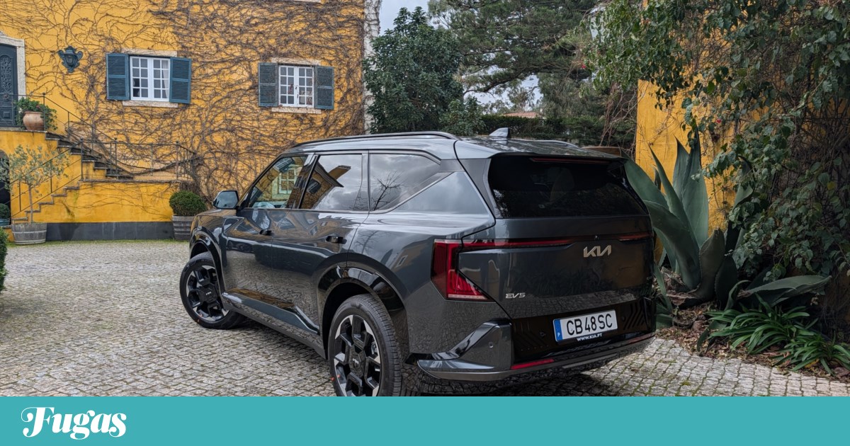 Kia EV5: generous with space and technology