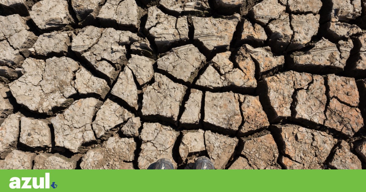 In Portugal 'water risk is becoming more chronic and more variable'