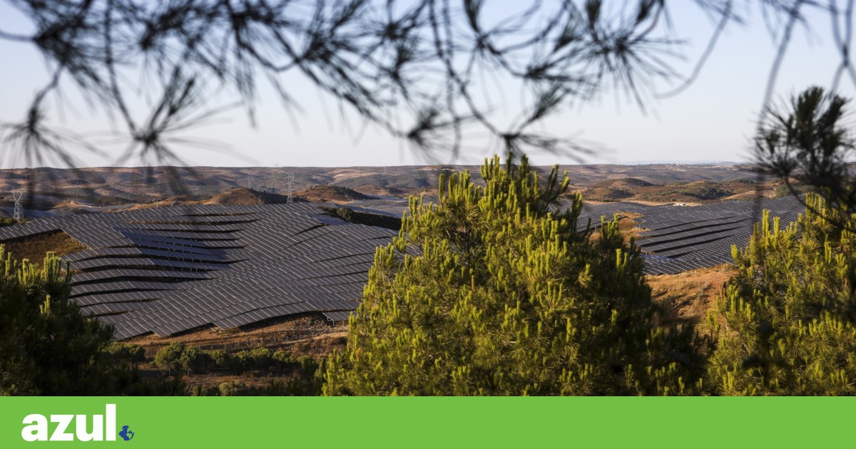 Portugal has plenty of 'low-conflict' areas to meet its solar energy targets by 2030
