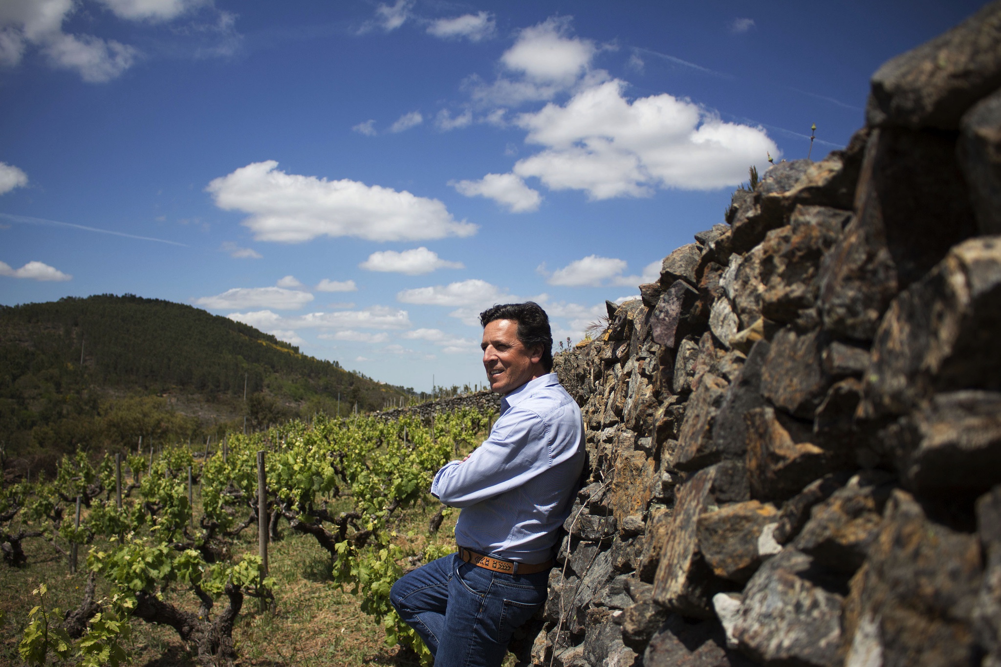 terroir,portalegre,critica,vinhos,fugas,alentejo,