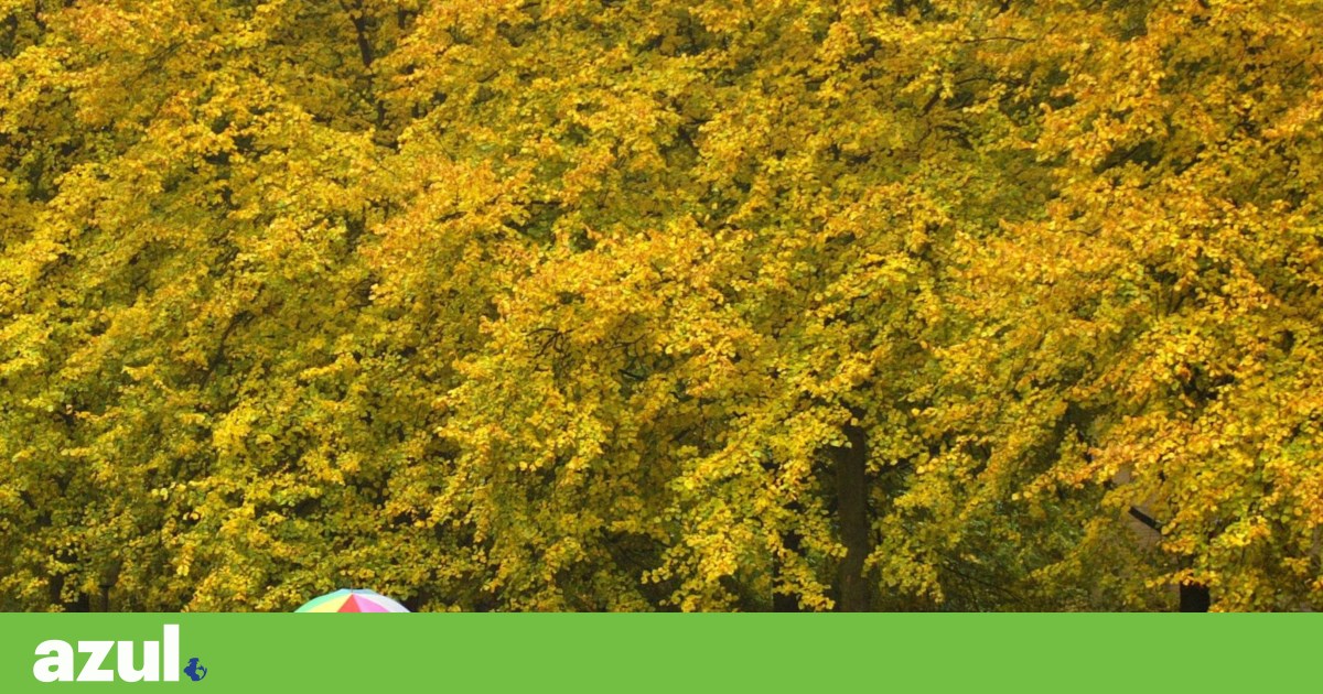 For every dollar invested in protecting nature, thirty dollars are spent destroying it