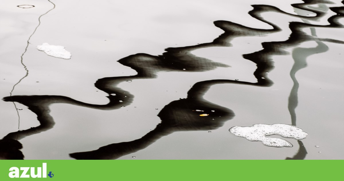 Alert over pollution hotspot in the Tagus River as clumps of foam float in Nisa