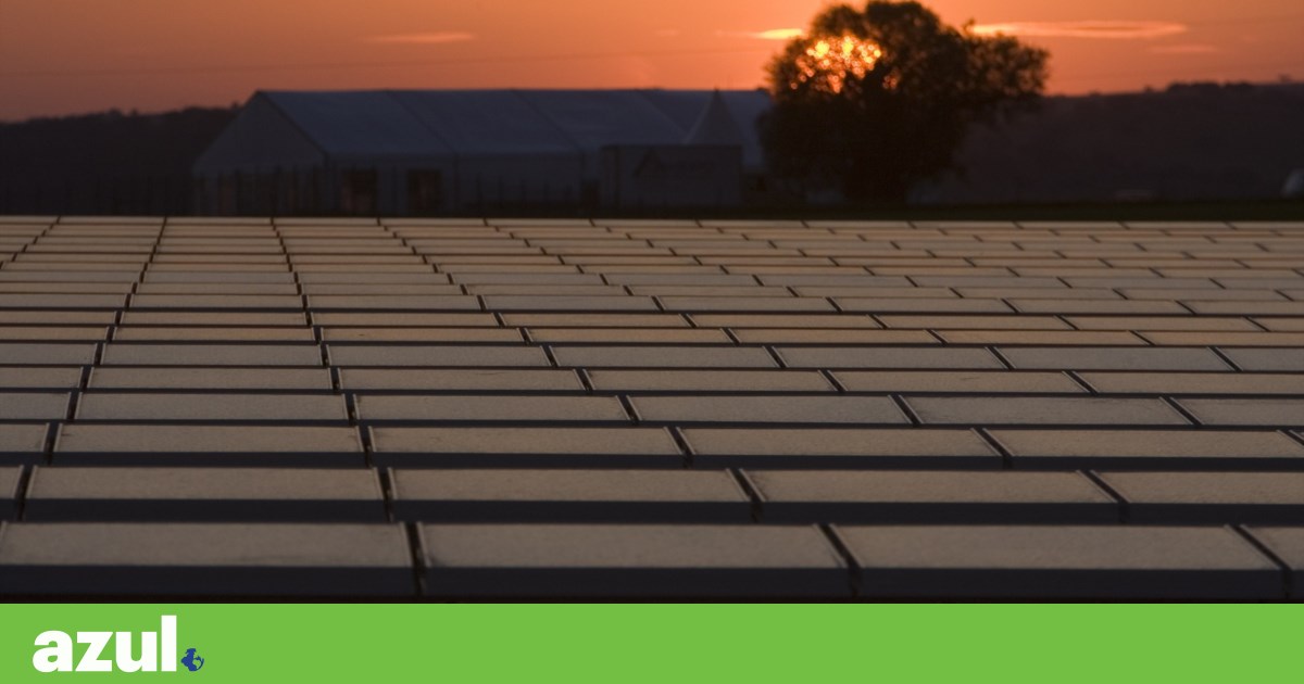 Solar and wind energy surpassed fossil fuels for the first time in the European Union