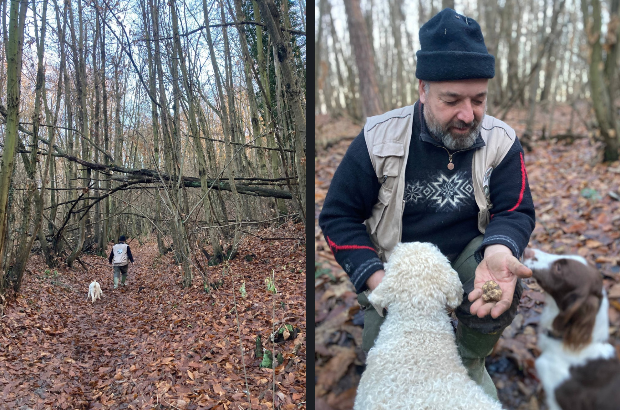 redes,vinhos,gastronomia,viagens,fugas,italia,