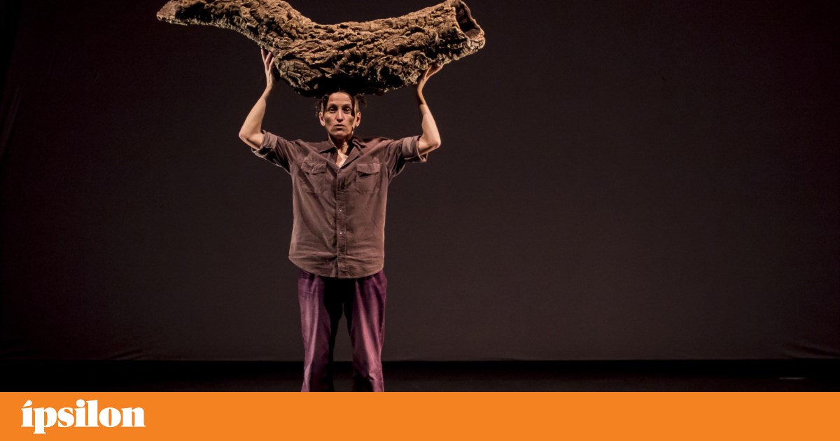 A 'Congerminar' with Vera Mantero and hands-on activities working with the soil