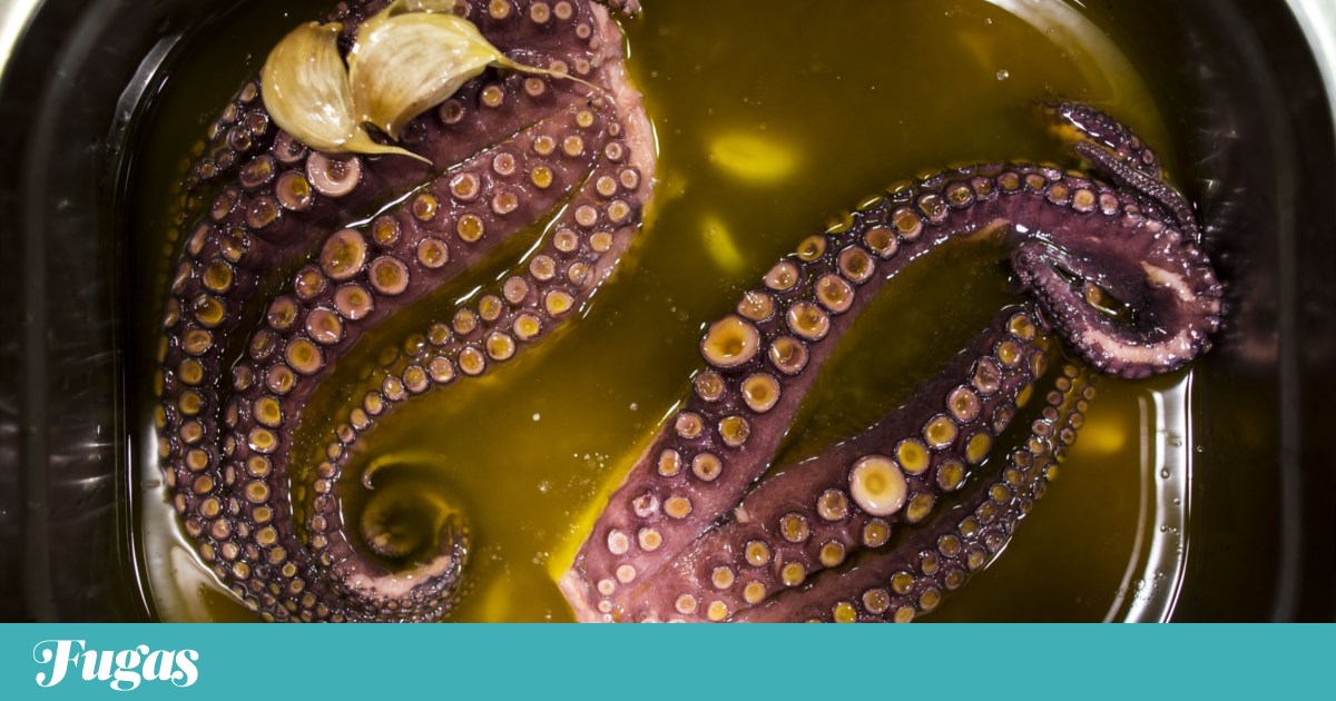 One day octopus, the next octopus rice: all sorted