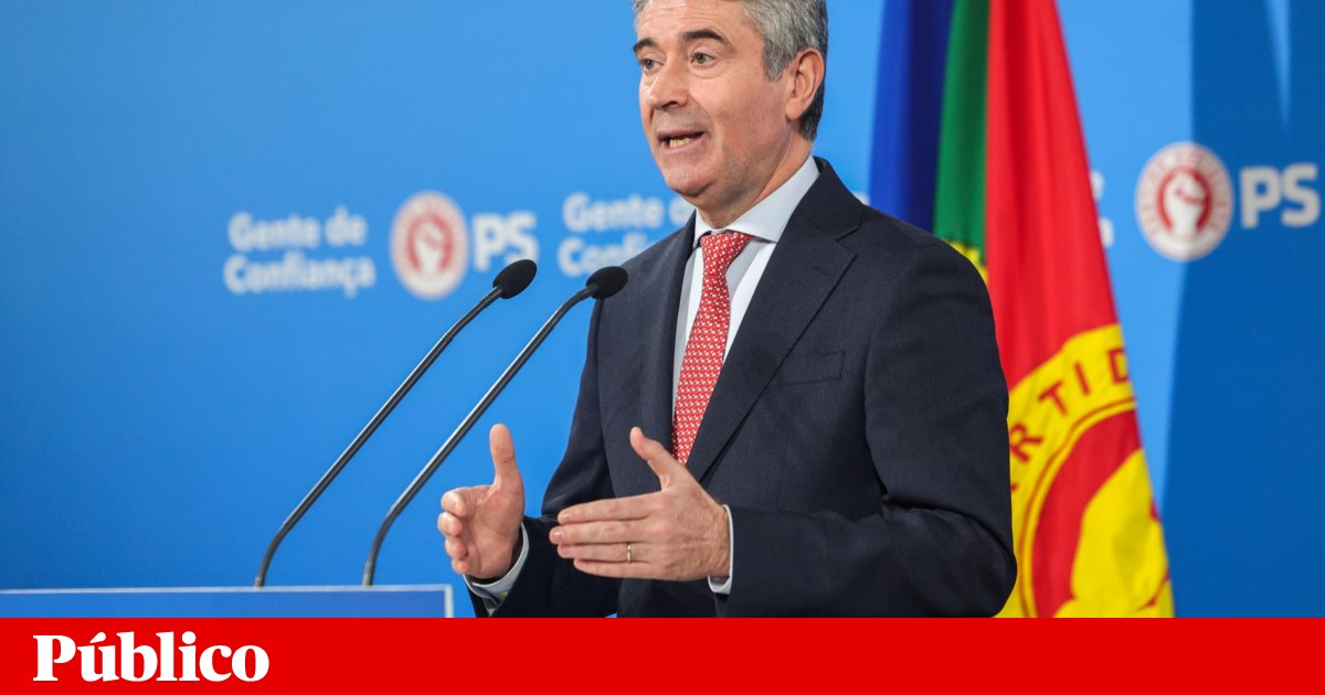 PS backed Seguro "at the right time", says Carneiro, who wants the party reorganised by the summer