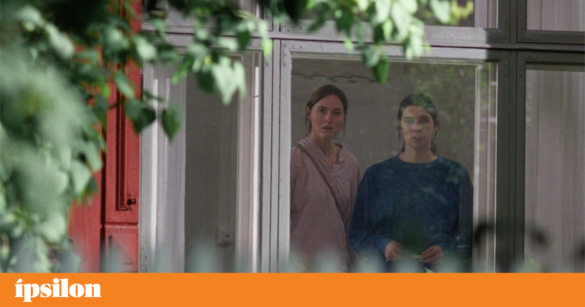 <em>Sentimental Value</em>, <em>Living the Land</em> and other premieres this week