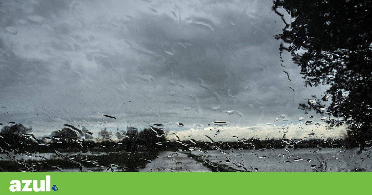 'Lots of water, lots of rain' — alert for risk of flooding north of the Mondego and in the Tagus basin