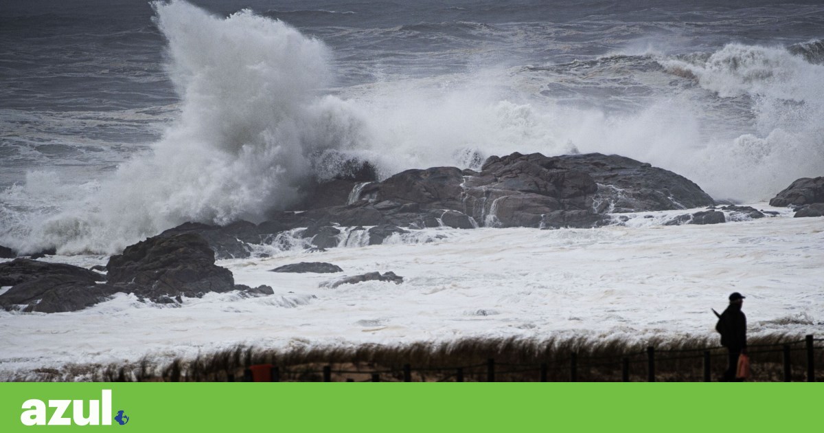 IPMA places the coast of mainland Portugal under a red warning on Wednesday