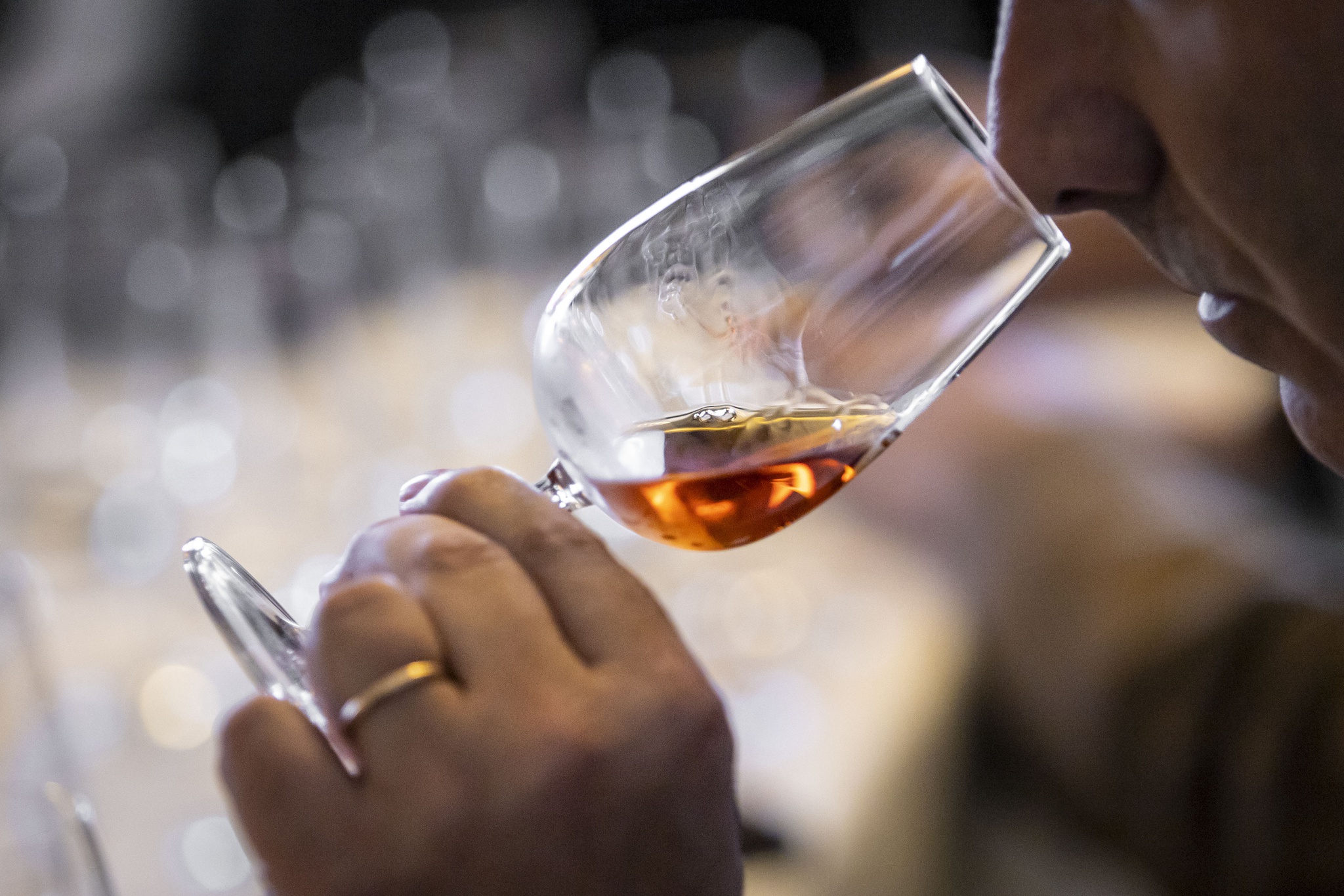 terroir,vinho-porto,critica,vinhos,fugas,