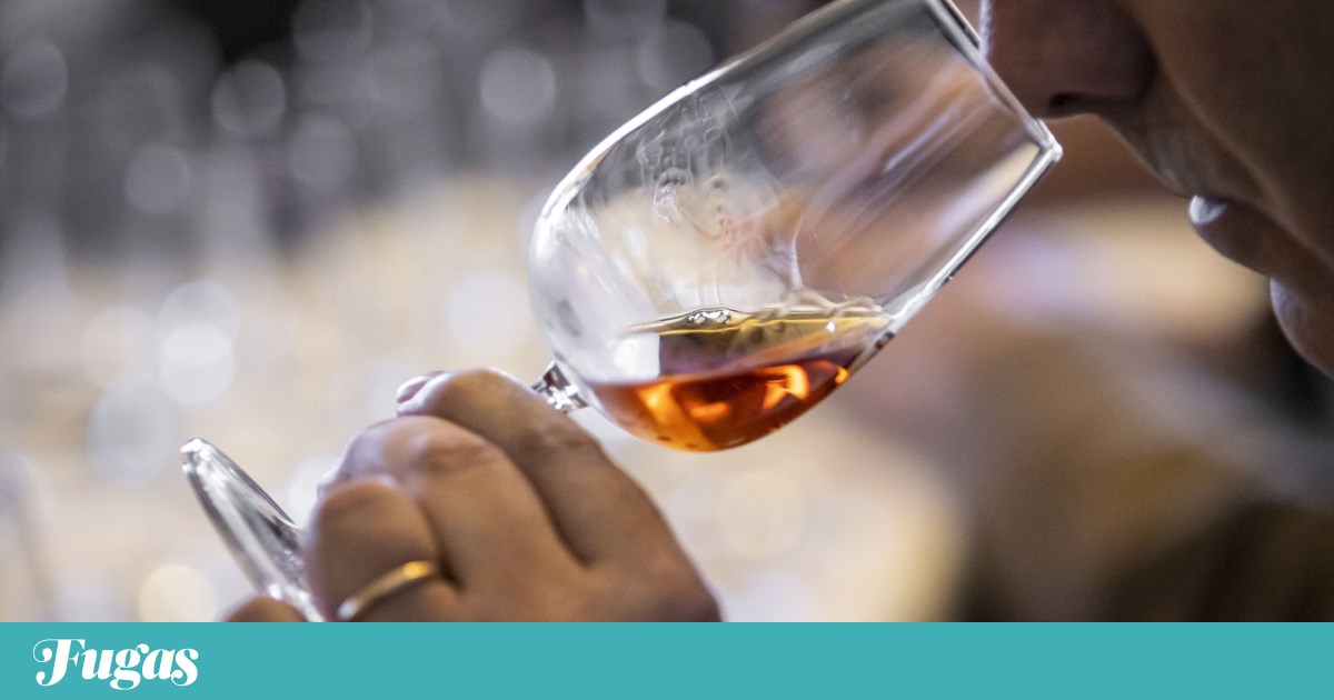 Ten Port wines we've really enjoyed recently