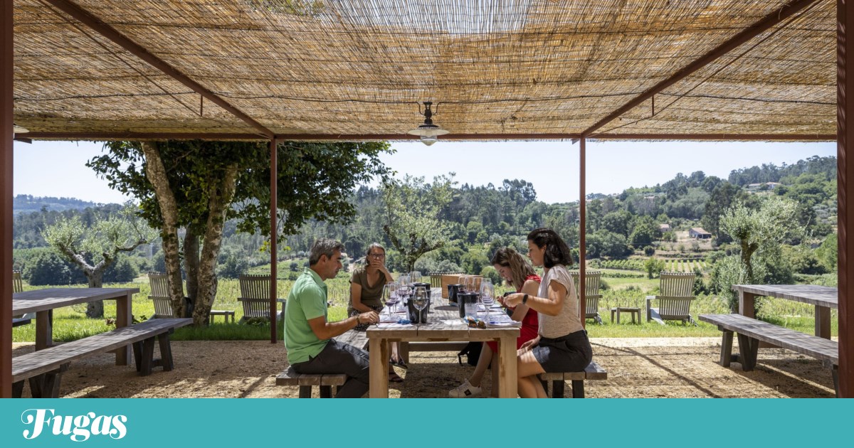 Wine tourism sector discusses sustainability, innovation and the impact of AI on the industry