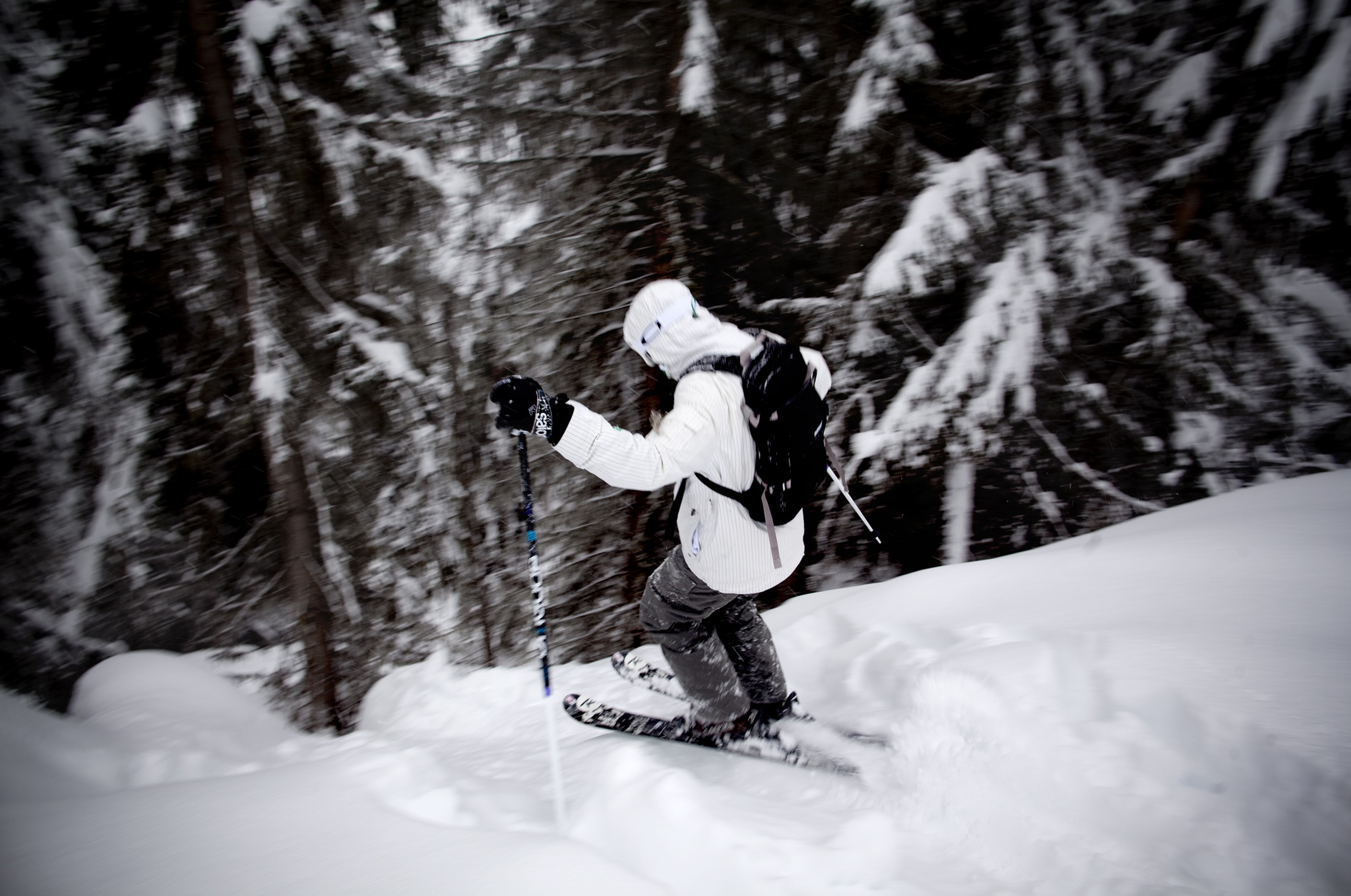 EVR - 31 janeiro 2012 - Franca - Courchevel - Esqui na estancia francesa de Courchevel , nos Alpes Franceses - Passeio de raquetes num caminho circundante a estancia NEVE - ESTANCIAS SKI SKY TURISMO