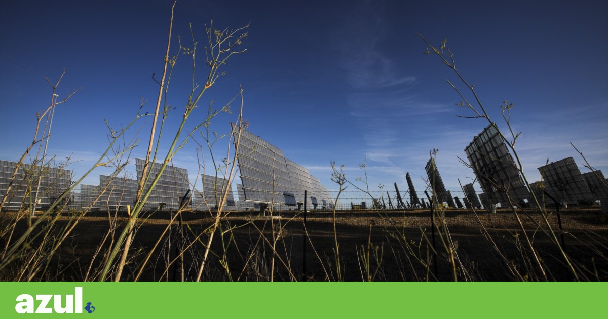 SPEA urges rejection of wind farm in Alcoutim over serious environmental impact