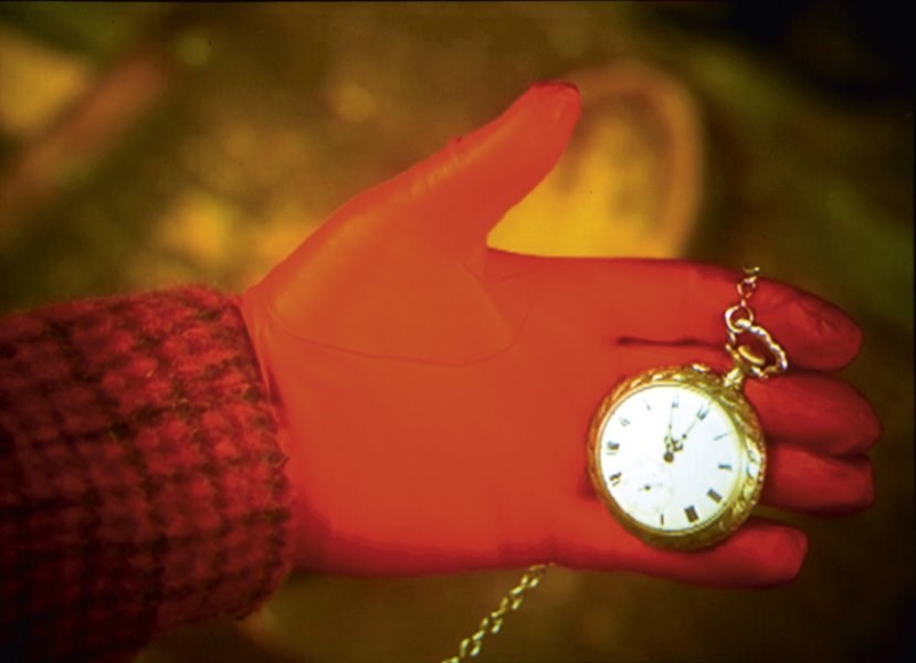 Open letter to the Minister of Culture says it is 'crucial' that the Ellipse Collection remain at the MAC/CCB