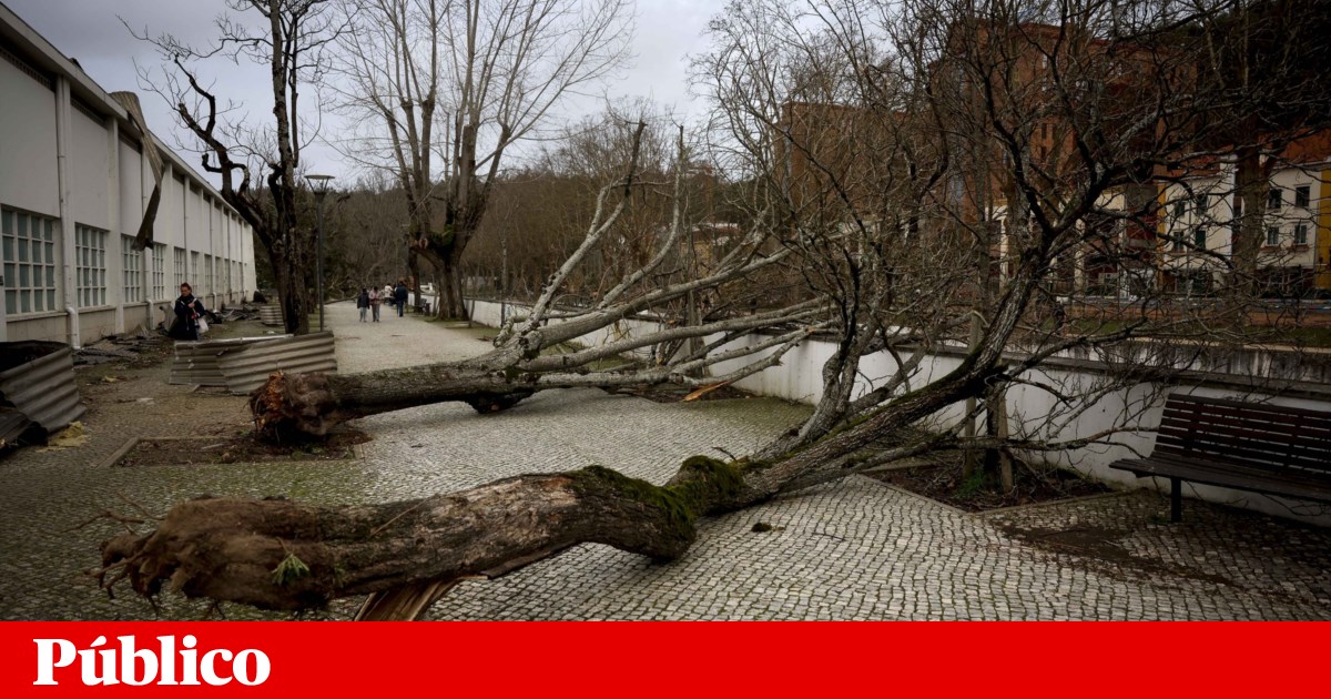 Government declares a state of calamity. What changes from now on?