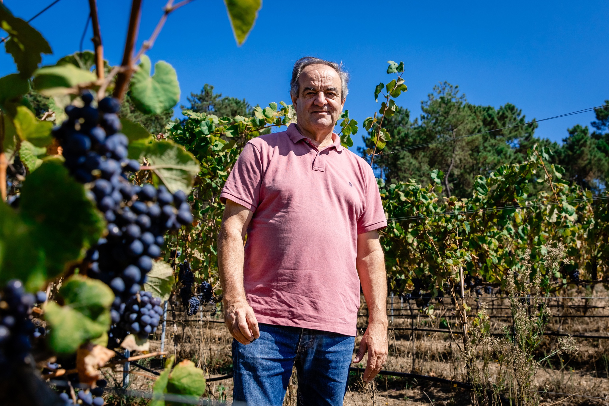 terroir,vinhos-verdes,moncao,critica,vinhos,fugas,