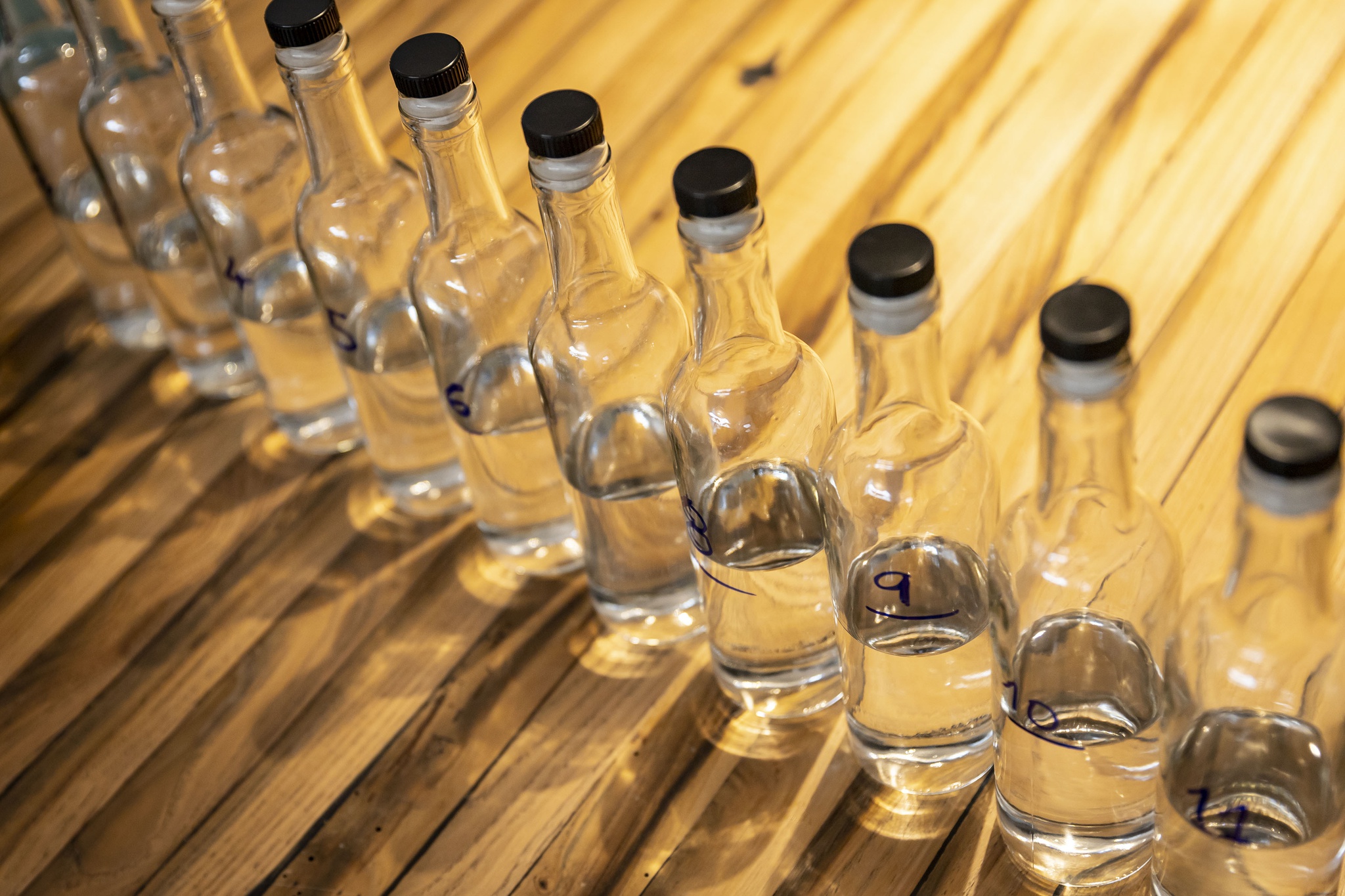 destaque,vinhos,douro,fugas,economia,agricultura,